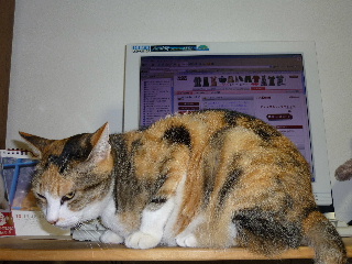 P1000331-ss.JPG