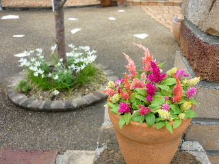 P1050053-ss.JPG