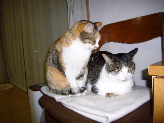 P1000143-ss.JPG