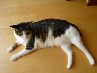 P1030677-ss.JPG