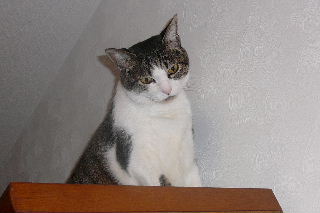 P1010358-ss.JPG