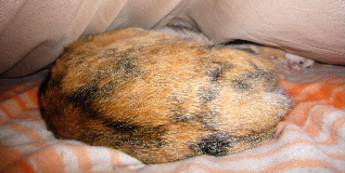 P1030819-yss.JPG