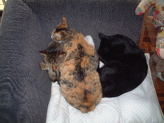 DSCF0745-ss.JPG