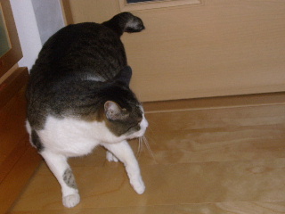 P1020621-ss.JPG