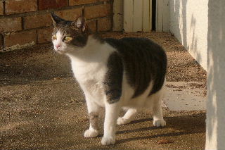 P1010428-ss.JPG