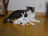 P1020835-yss.JPG