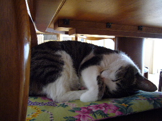 P1000204-ss.JPG