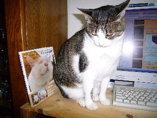P1000483-ss.JPG