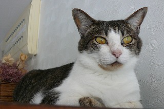 P1080768ss.jpg