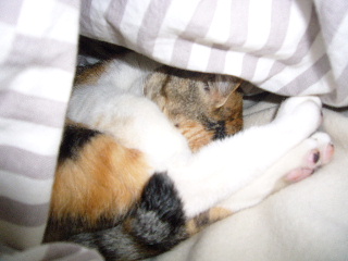 P1040313-ss.JPG
