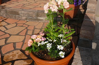 P1030163ss.jpg