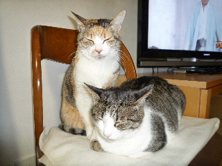 P1010090-ss.JPG