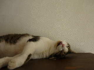 P1030817-ss.JPG