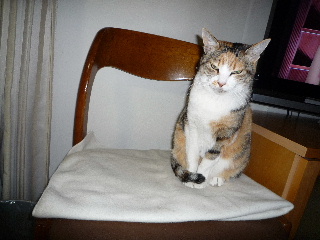 P1010357-ss.JPG