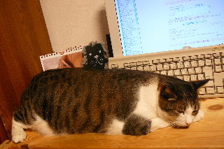 P1010435-ss.JPG
