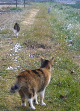 P1000380-yss.JPG