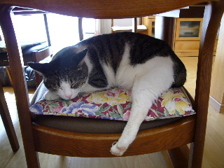 P1010573-ss.JPG