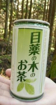 目薬の木のお茶