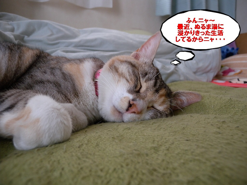 さくら2