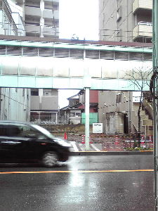 武蔵小金井駅南口商店街　3/30 2