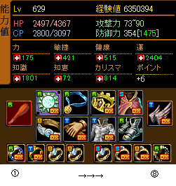 Lv629ステ装備.png