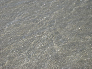 IMG_6888.jpg