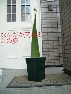 2007-12-06 22:35:44