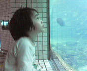 のと 006.jpg