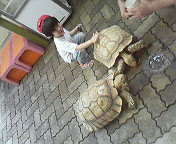 能登 016.jpg