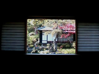 海蔵寺・裏庭表より