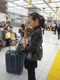 それはわんちゃん