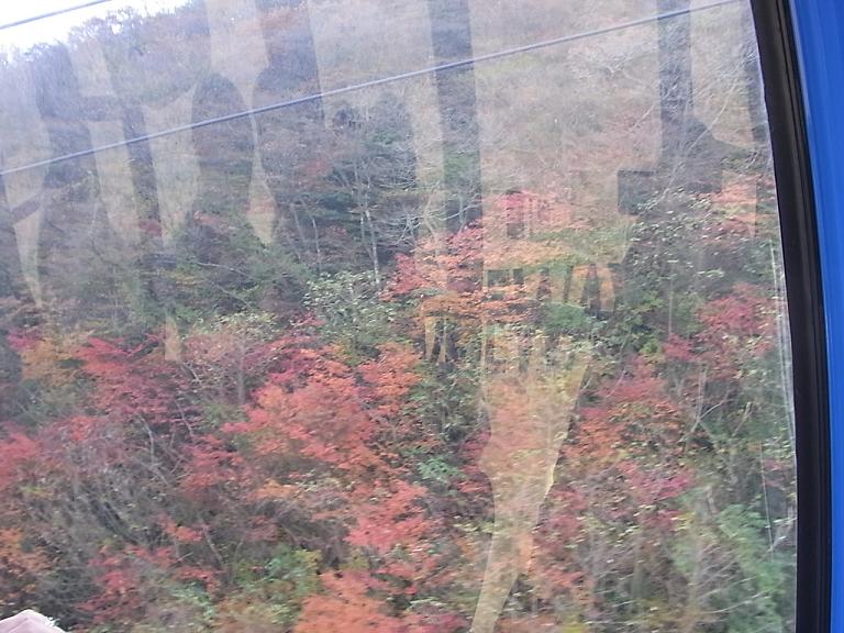 紅葉.JPG