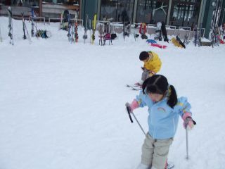 楽しいらしい？