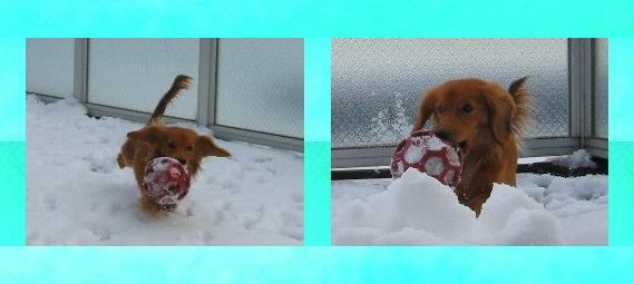 赤いボールも・・・