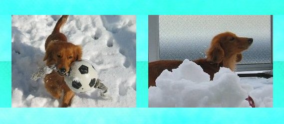 運んで・運んで・・・