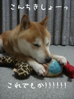 ちっくしょーっ