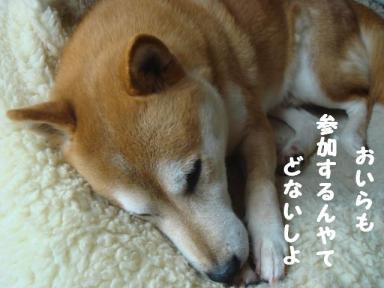 こてつも参加！