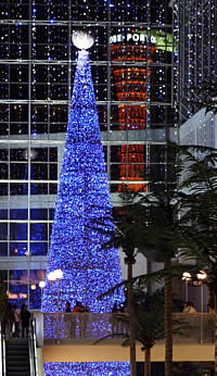 クリスマスツリー参上！