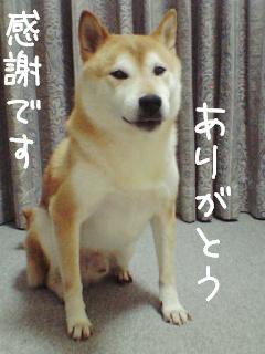 感謝感激!!!!!!!!