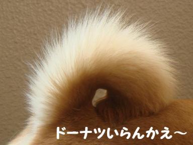ドーナツ