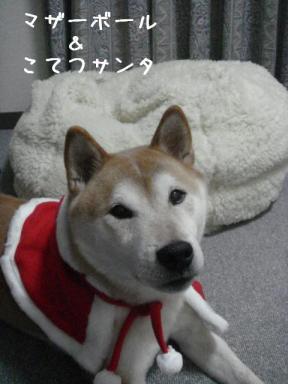 マザーボール２