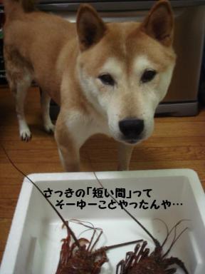 さようなら伊勢えび１号２号