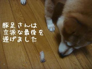 豚足の最後