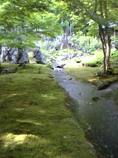 しょうざん庭小川