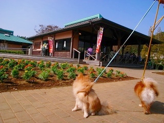 公園