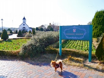 ローズマリー公園