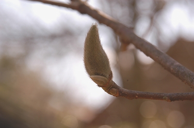 s-DSC_0086.jpg