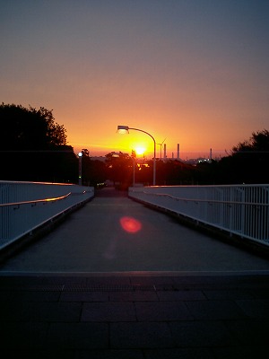 夕日 臨港パーク 公園 風景