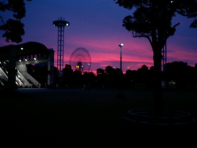 夕日 港 公園 風景