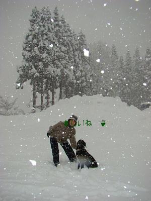 2008 ski